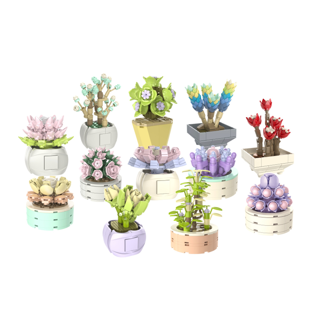 JK2710-1-JK2710-12 植物日志-多肉